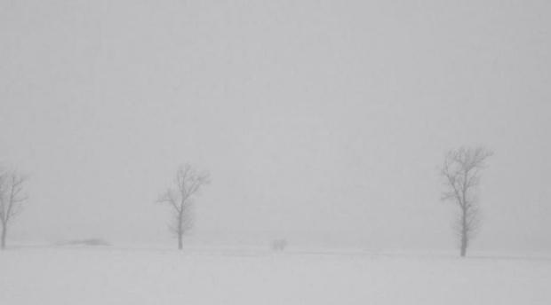 Viscol și ninsoare în România. 128 de localităţi nu au curent electric
