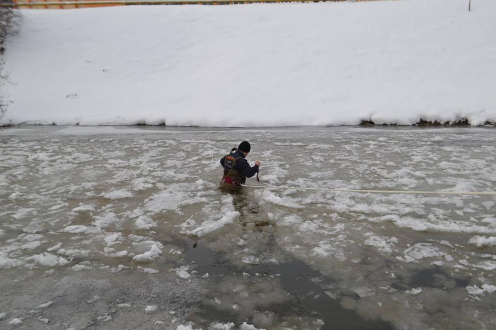 Două rațe sălbatice, salvate de pompieri din apa înghețată a Cibinului - FOTO 427607