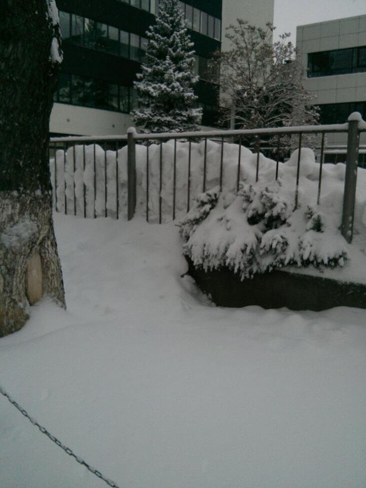 Ger și ninsoare în Capitală. Universitatea din București a suspendat cursurile 