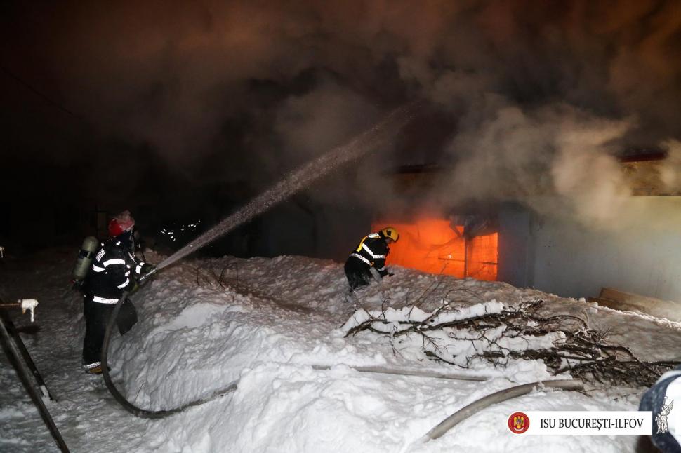 Incendiu la o clădire a Circului Globus. 11 animale retrase din activitate au murit. Imagini de la fața locului  428192