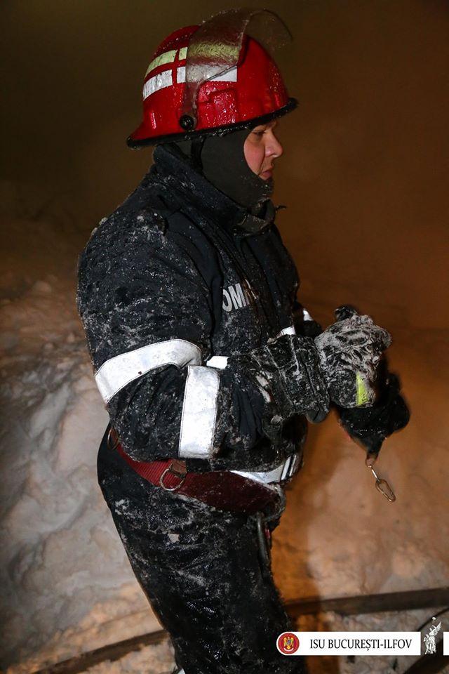 Incendiu la o clădire a Circului Globus. 11 animale retrase din activitate au murit. Imagini de la fața locului  428193