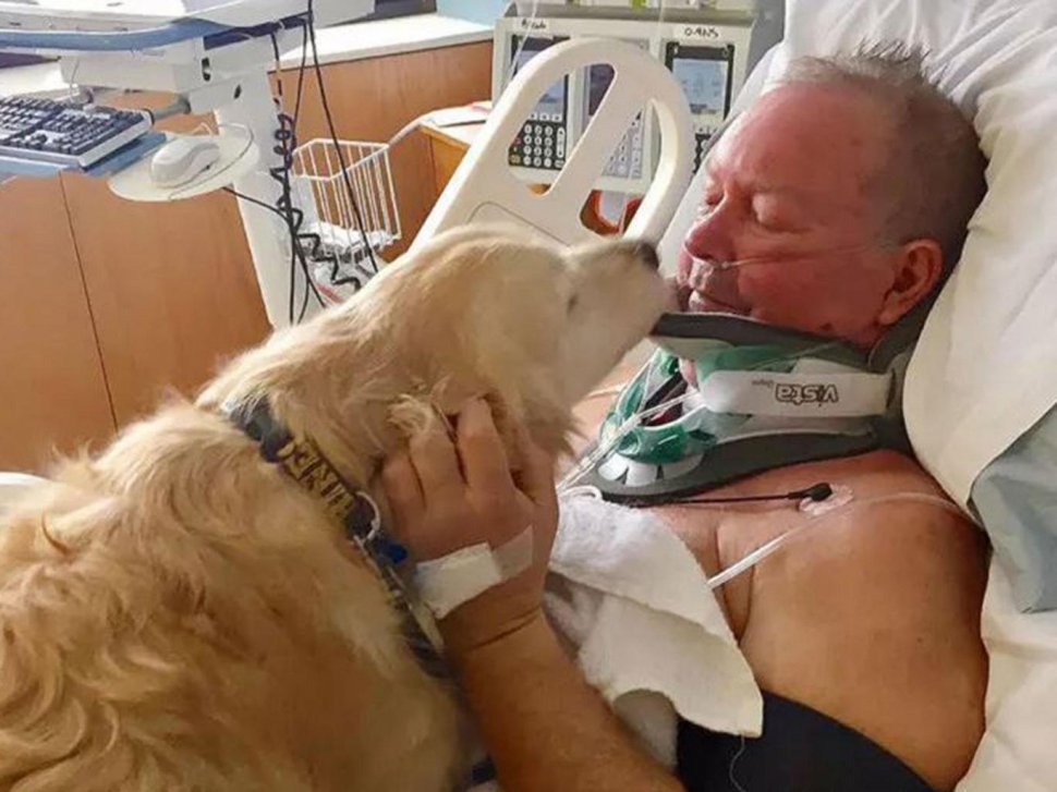 Dragoste de câine! Și-a salvat stăpânul de la moarte sigură, după ce a alunecat pe gheață și și-a rupt gâtul