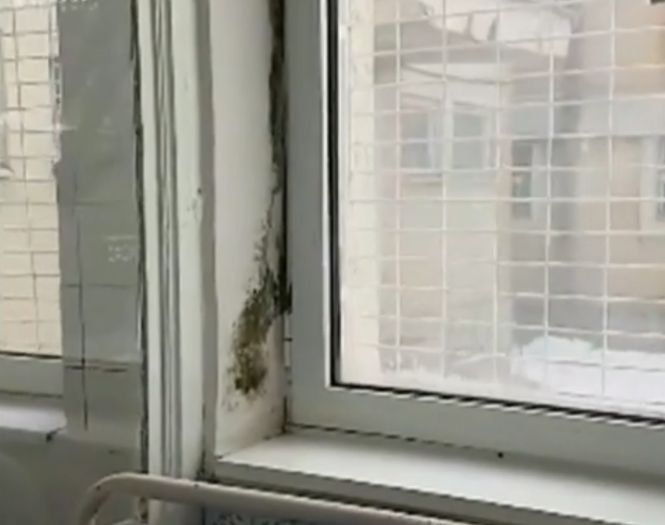 Condiții groaznice într-un spital de copii din România. E focar de infecție!