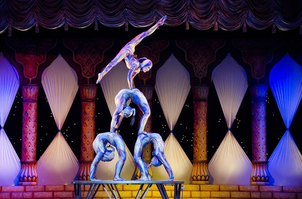 Draft decision to ban animal performances at Bucharest 'Globus' Circus &amp; Variety Company