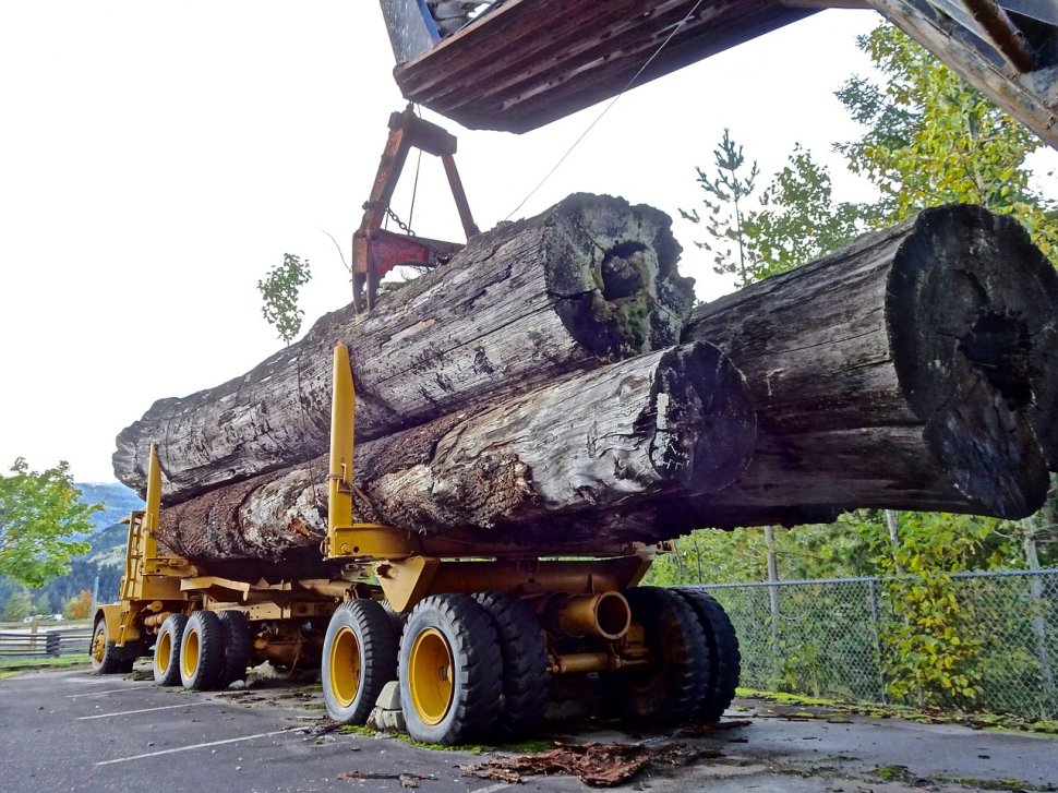  Brico Depot își încetează colaborarea cu Holzindustrie Schweighofer