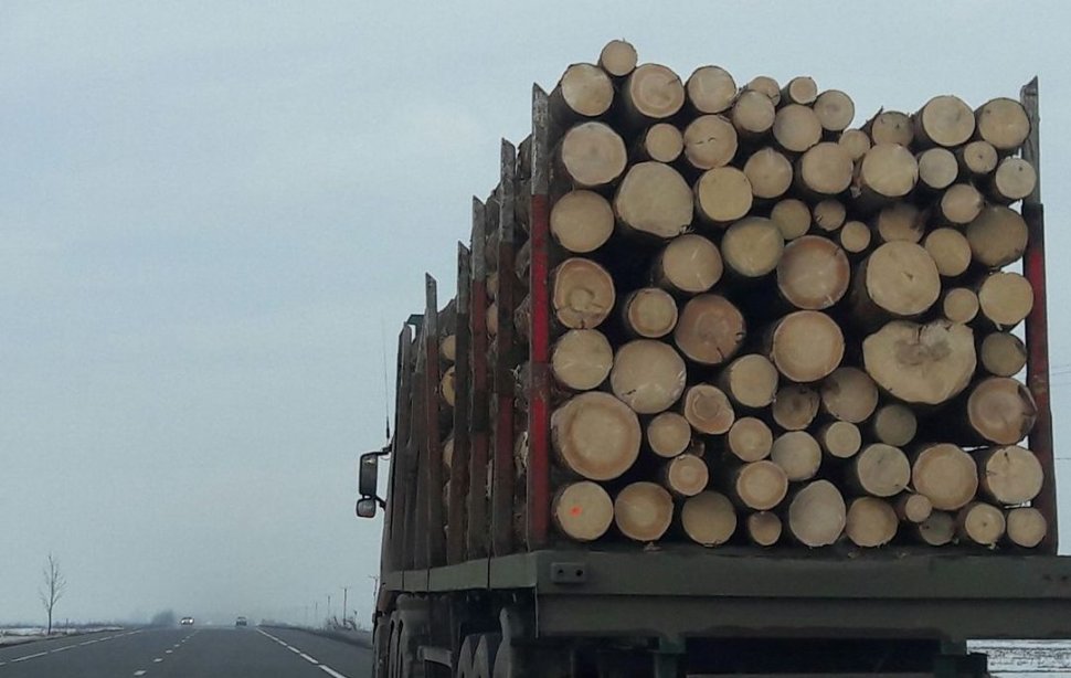 Așa dispare pădurea! Iată cum a fost surprins în trafic un camion cu lemne, pe un drum național