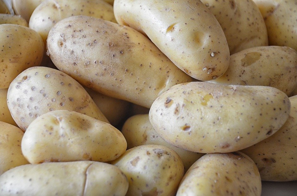 Pericolul din cartofii încolțiți: Conțin o substanță otrăvitoare