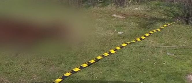 Imagini de o cruzime fără margini au fost surprinse în apropiere de Bucureşti. O iapă gestantă a fost legată de un copac şi lăsată să moară