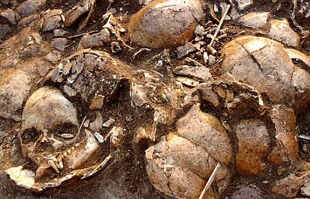 Descoperire macabră la Arad. Oase și cranii de copii și adulți, găsite în timpul unor lucrări de reabilitare a unei case
