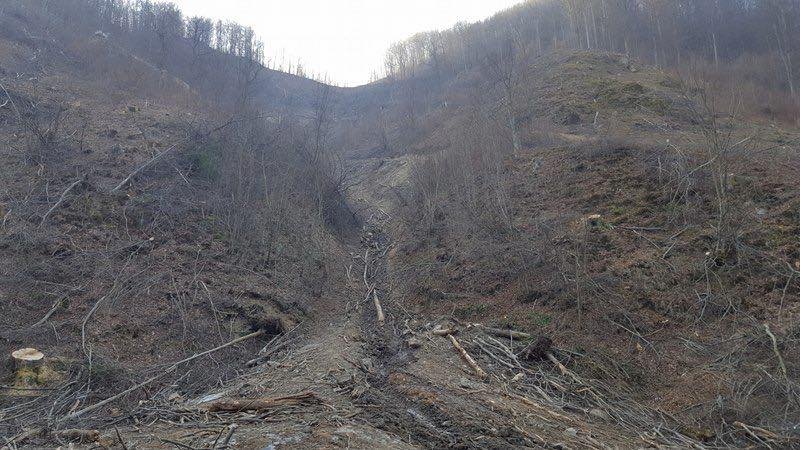 Exces de putere: Alertă! Un mare municipiu, ameninţat cu dispariţia din cauza defrişărilor în zona barajului Vidraru