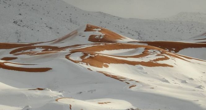 A nins în deşertul Sahara