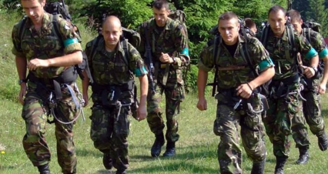 Exerciţii militare de amploare în România. Desfășurare de forțe în poligonul de la Cincu