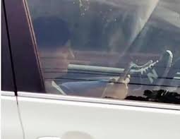 Șoferiță filmată în timp ce conducea cu picioarele (VIDEO)
