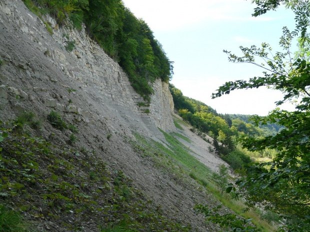 Alunecare de teren în Vaslui, din cauza căderilor masive de zăpadă