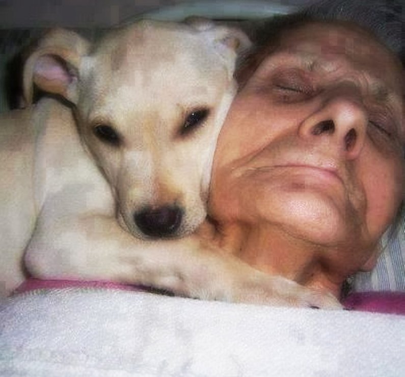 Bătrâna era în comă de o lună, iar câinele venea mereu la căpătâiul ei. Primele ei cuvinte când s-a trezit i-au înmărmurit pe cei prezenți. Ce îi transmitea câinele