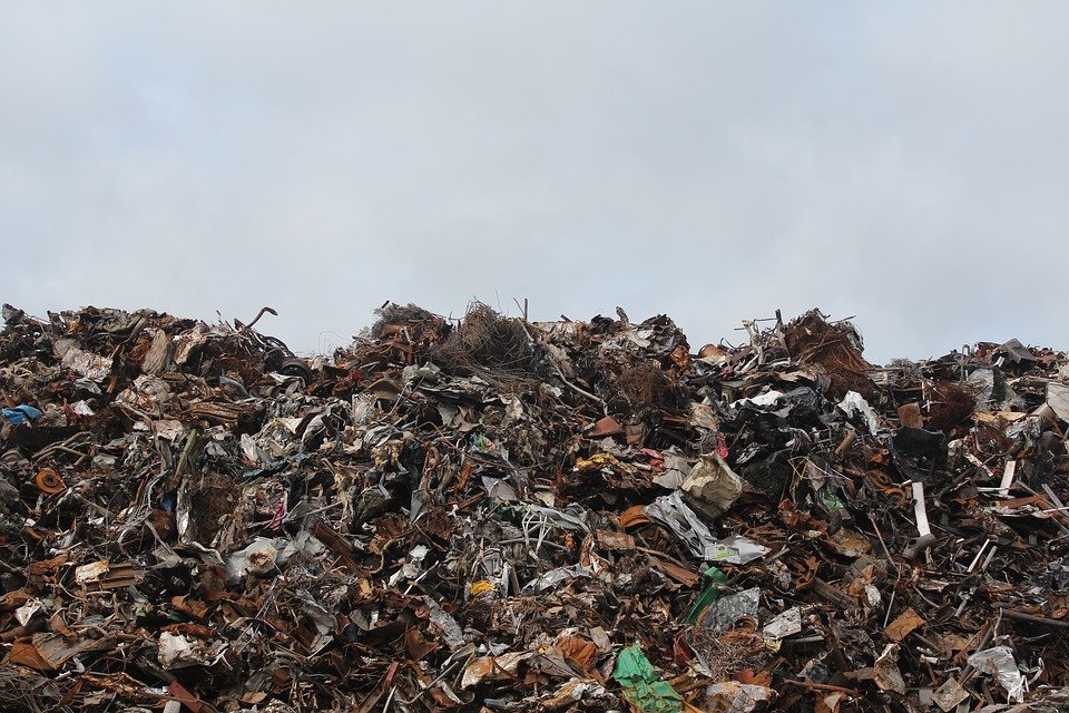 Descoperire șocantă în apropierea unei gropi de gunoi din Craiova