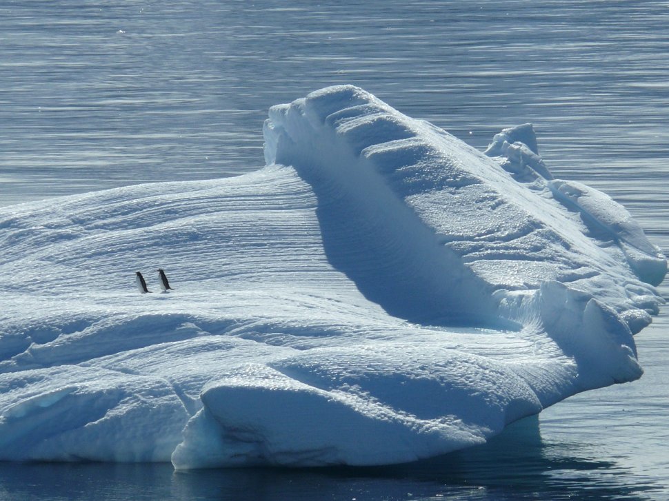 Polul Nord se încălzește într-un ritm fără precedent! Avertismentul cercetătorilor 