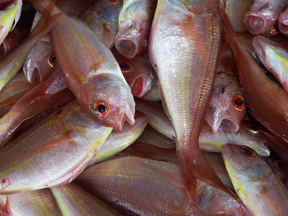 Ce a găsit un bărbat în peștele pe care l-a cumpărat de la hipermarket - FOTO