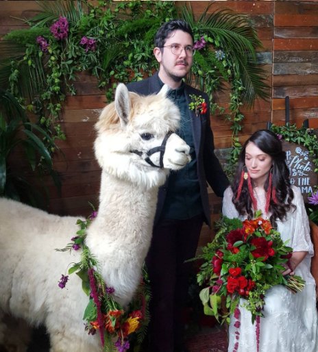 Cei mai neobișnuiți invitați ai unei nunți - FOTO