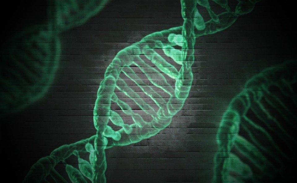S-a descoperit gena care te ajută să trăiești până la 100 de ani. Ce au dezvăluit cercetătorii