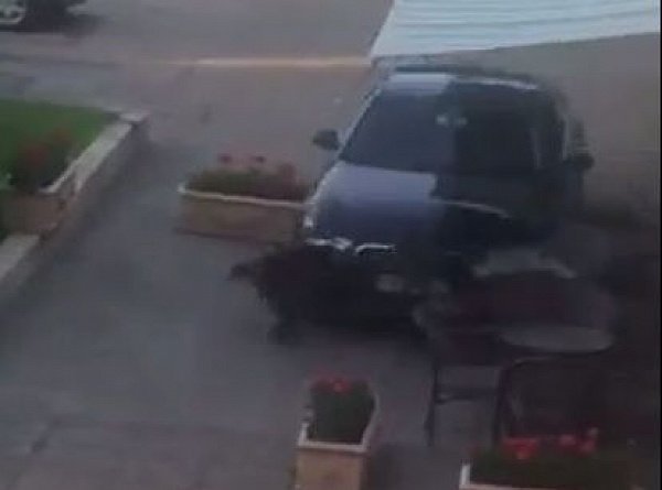 Incident șocant în Satu Mare! O mașină a intrat în plin în terase. Momentul a fost surprins de o cameră (VIDEO)