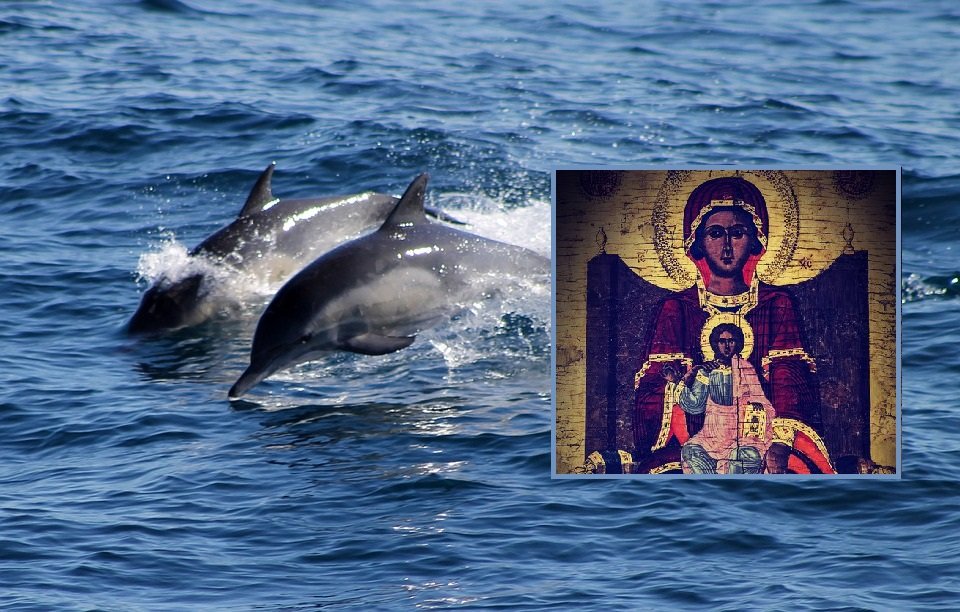 Minune în Marea Neagră. Mai mulți delfini au adus la suprafață o icoană a Maicii Domnului