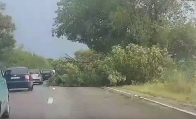 Furtuna a făcut ravagii în Arad. 10 muncitori răniţi, maşini răsturnate şi copaci căzuţi pe carosabil - VIDEO
