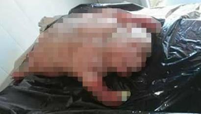 Un oraș întreg îngrozit după nașterea unei creaturi bizare. „Ce naiba este asta? Un demon!” (FOTO) 459133