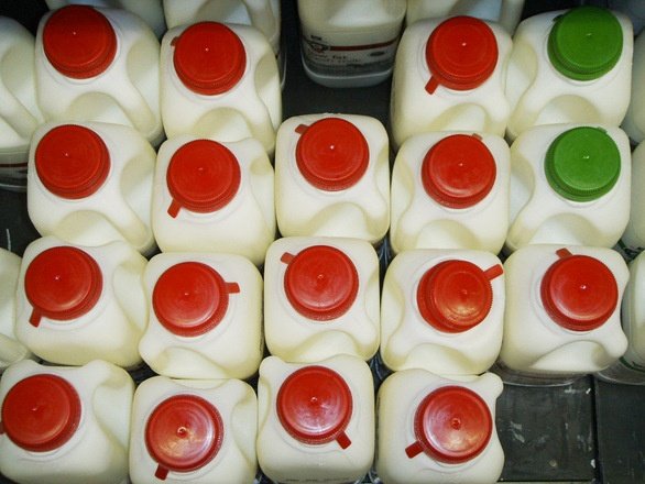 Pericolul din lactatele de la raft. Ce decizie a luat Parlamentul