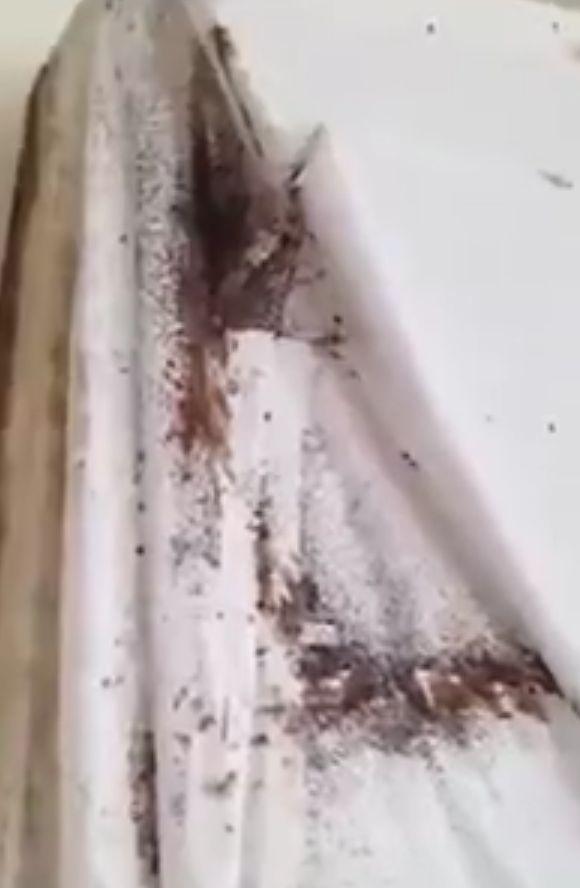 Le plecaseră chiriașii, așa că s-au dus la apartament. Au avut un adevărat șoc când s-au apropiat de pat. De sub cearșafuri, au început să iasă o mulțime de .... (GALERIE FOTO+VIDEO) 461529