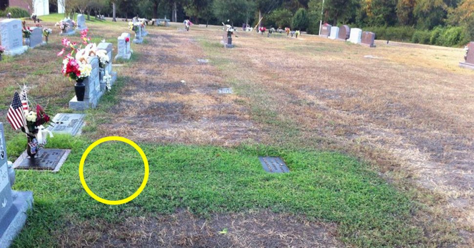 Caz bizar! O mamă și-a pierdut copilul și nu întelegea de ce crește iarba doar pe mormântul lui. Când a aflat, a început să izbucnească în plâns