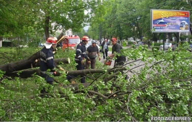 Un copac a căzut peste un biciclist. Momente îngrozitoare în București