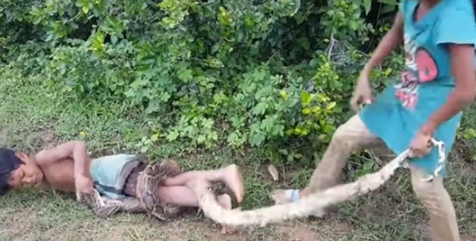 Un șarpe uriaș strânge cu putere trupul unui băiețel, în timp ce sora lui sare să-l ajute. Cum s-a terminat totul - VIDEO