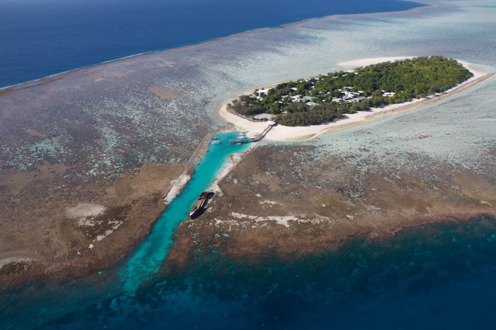 Marea Barieră de Corali, cel mai mare organism viu, declarată ”moartă” de cercetători