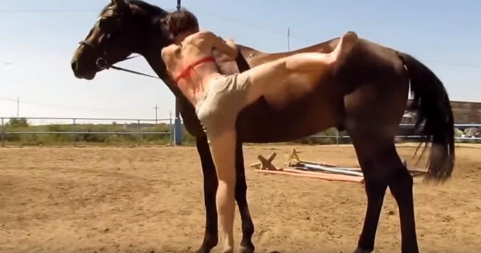 Reacția incredibilă a unui cal la încercările repetate ale unei tinere de a-l încăleca. Toți au rămas cu gura căscată când au văzut ce face animalul