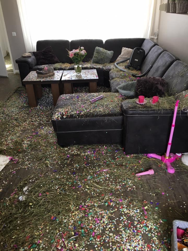 S-au întors din luna de miere, iar când au ajuns acasă, au avut parte de un adevărat șoc. „Este cumplit!” (GALERIE FOTO) 464030