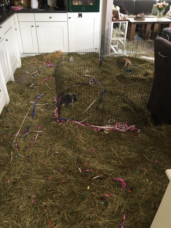 S-au întors din luna de miere, iar când au ajuns acasă, au avut parte de un adevărat șoc. „Este cumplit!” (GALERIE FOTO) 464031