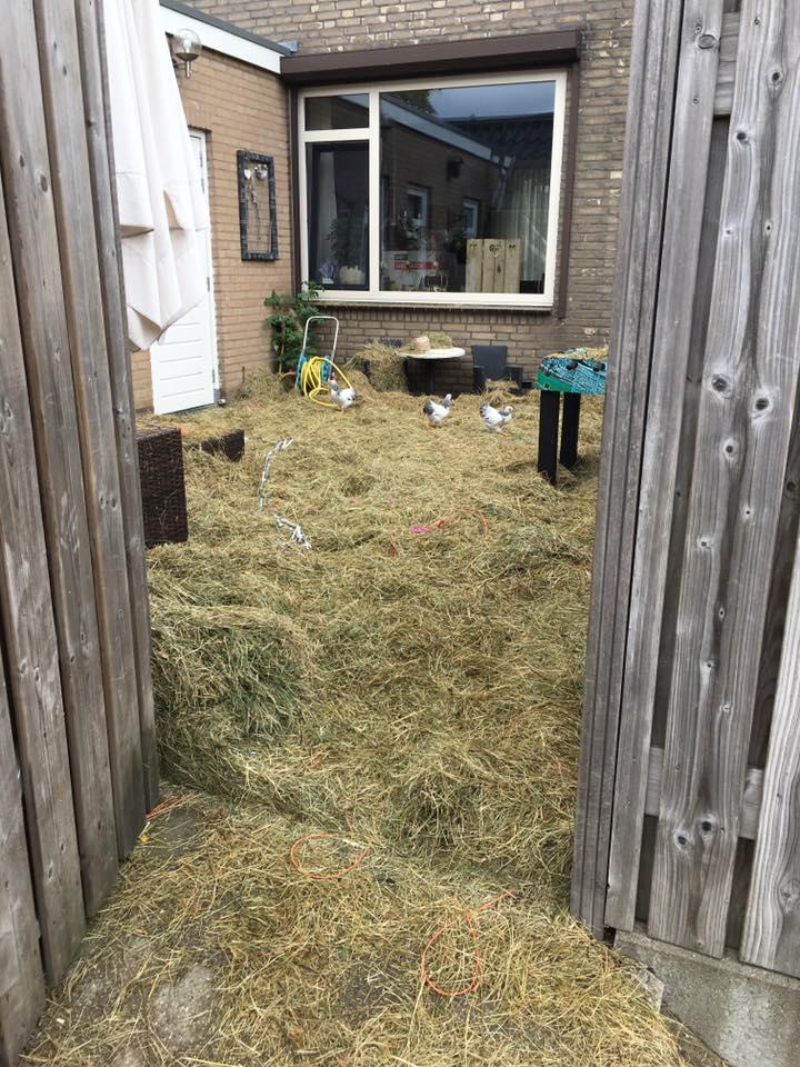 S-au întors din luna de miere, iar când au ajuns acasă, au avut parte de un adevărat șoc. „Este cumplit!” (GALERIE FOTO) 464033