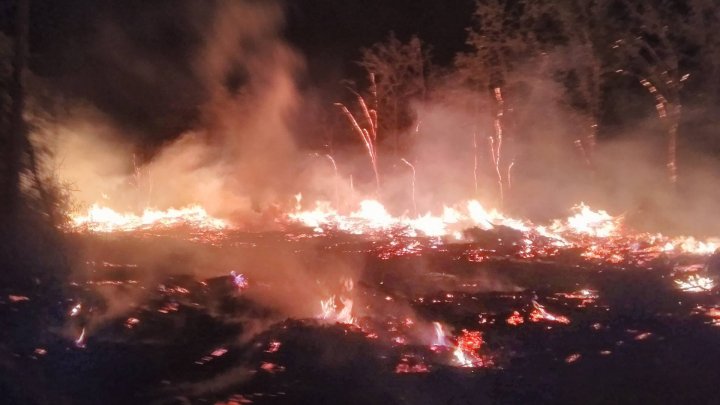 Incendiu devastator la un cimitir din Chișinău. Pompierii intervin cu mai multe autospeciale