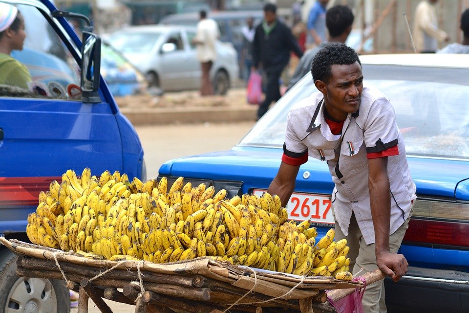 Oamenii de ştiinţă au creat un tip de banană care ar putea salva mii de vieţi în fiecare an