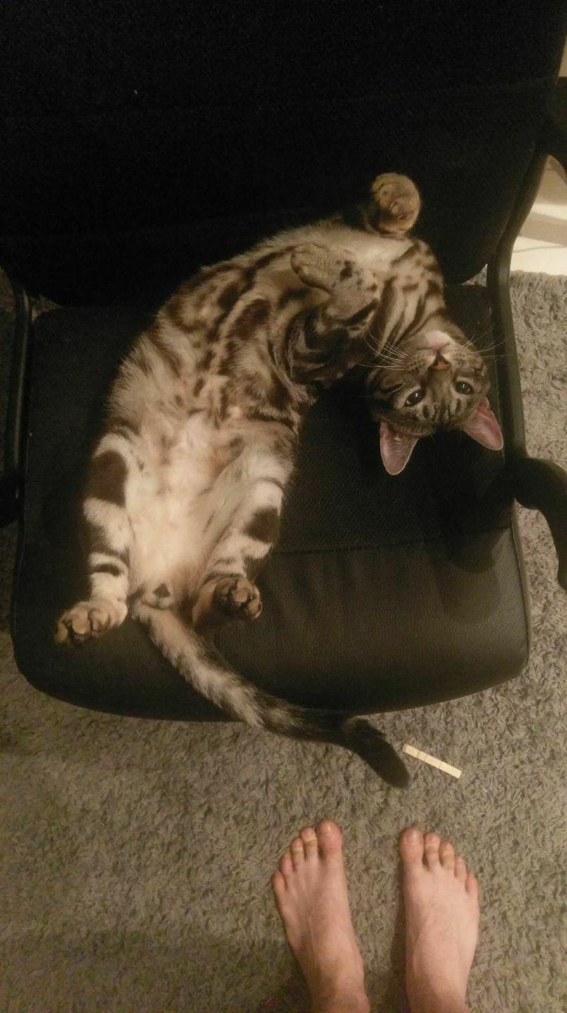 Monica Tatoiu, decizie radicală. De acum înainte.... 464814