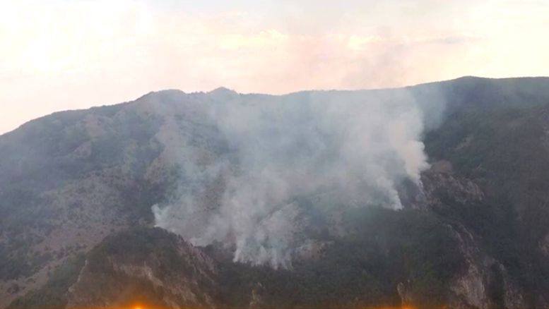 Incendiu uriaș în Mehedinți. Zece hectare de vegetație uscată și o pădure de pin sunt cuprinse de flăcări
