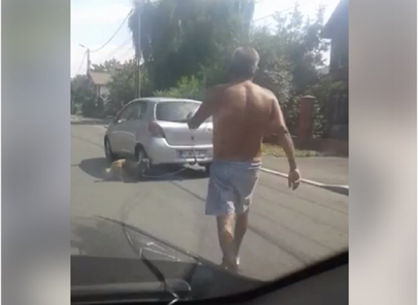 Imagini ireale surprinse în Buftea. Un bărbat a legat câinele de portbagajul mașinii și l-a târâit după el