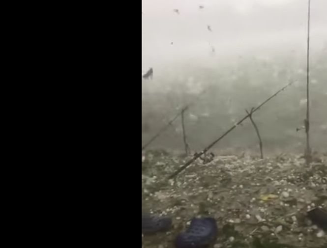 Vijelie puternică în Tulcea. O ploaie cu grindină cât oul a făcut ravagii - VIDEO