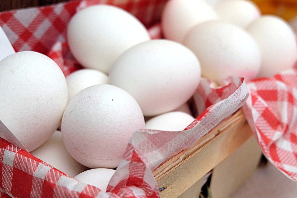 Anchetă în Olanda privind ouăle contaminate. Două persoane au fost arestate