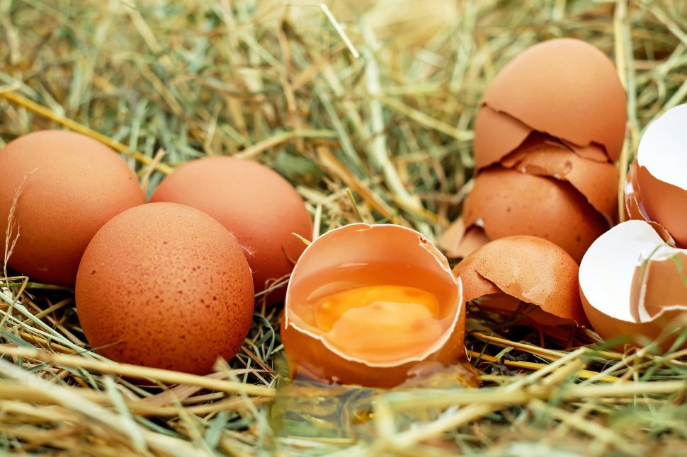 Ouăle contaminate au ajuns și în România!