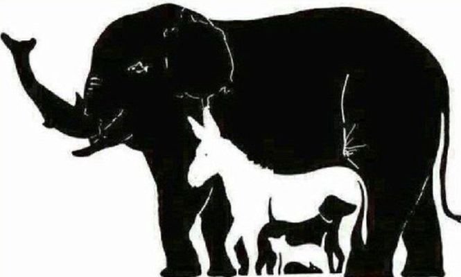 Cel mai tare test de logică. Tu câte animale vezi în această imagine?