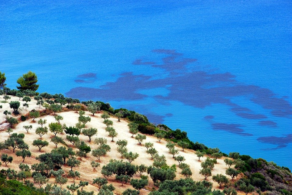 Stare de urgenţă pe o insulă din Grecia, în plin sezon turistic. Peste 12 incendii de vegetație au izbucnit în ultimele 48 de ore