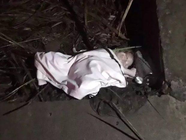 Au auzit zgomote ciudate venind dintr-un tufiș. Când s-au apropiat au avut un adevărat șoc. Printre ierburi, au făcut o descoperire șocantă (FOTO) 471825