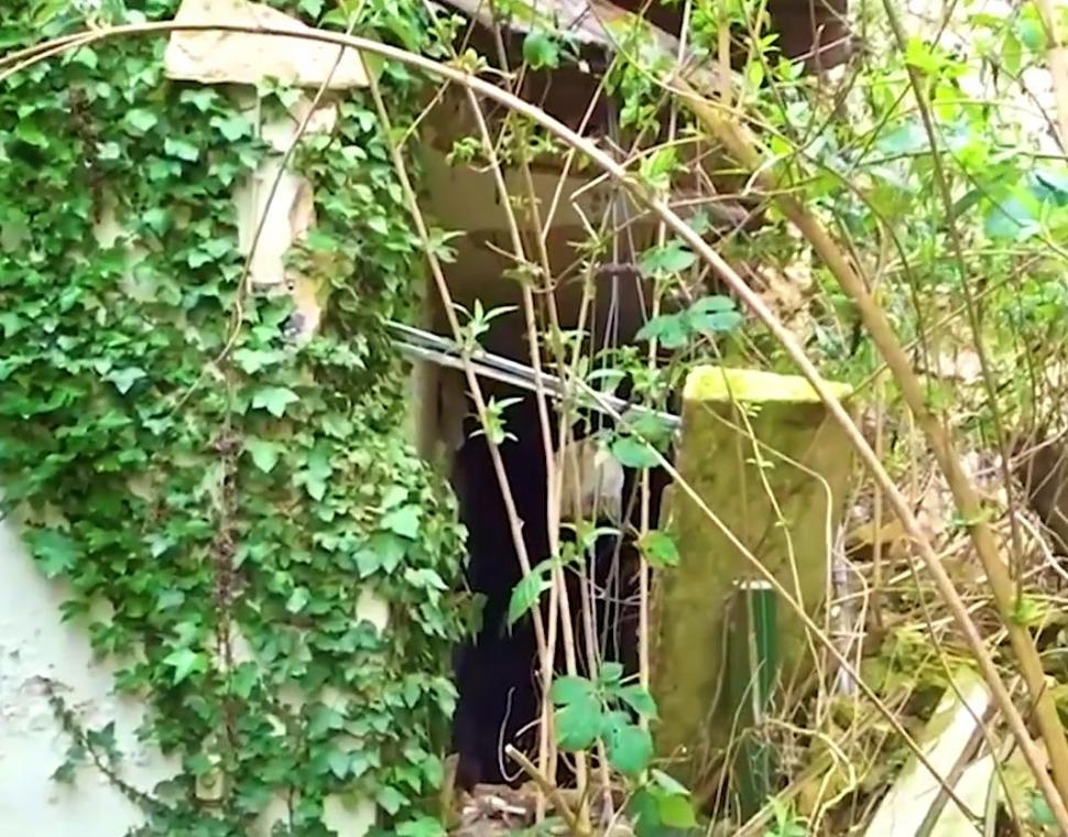 Se plimbau printr-o pădure când au dat peste o casă abandonată. Arăta ca un castel părăsit. Când au intrat înăuntru au avut un adevărat șoc. „Nu se poate așa ceva!” (GALERIE FOTO+VIDEO) 471939